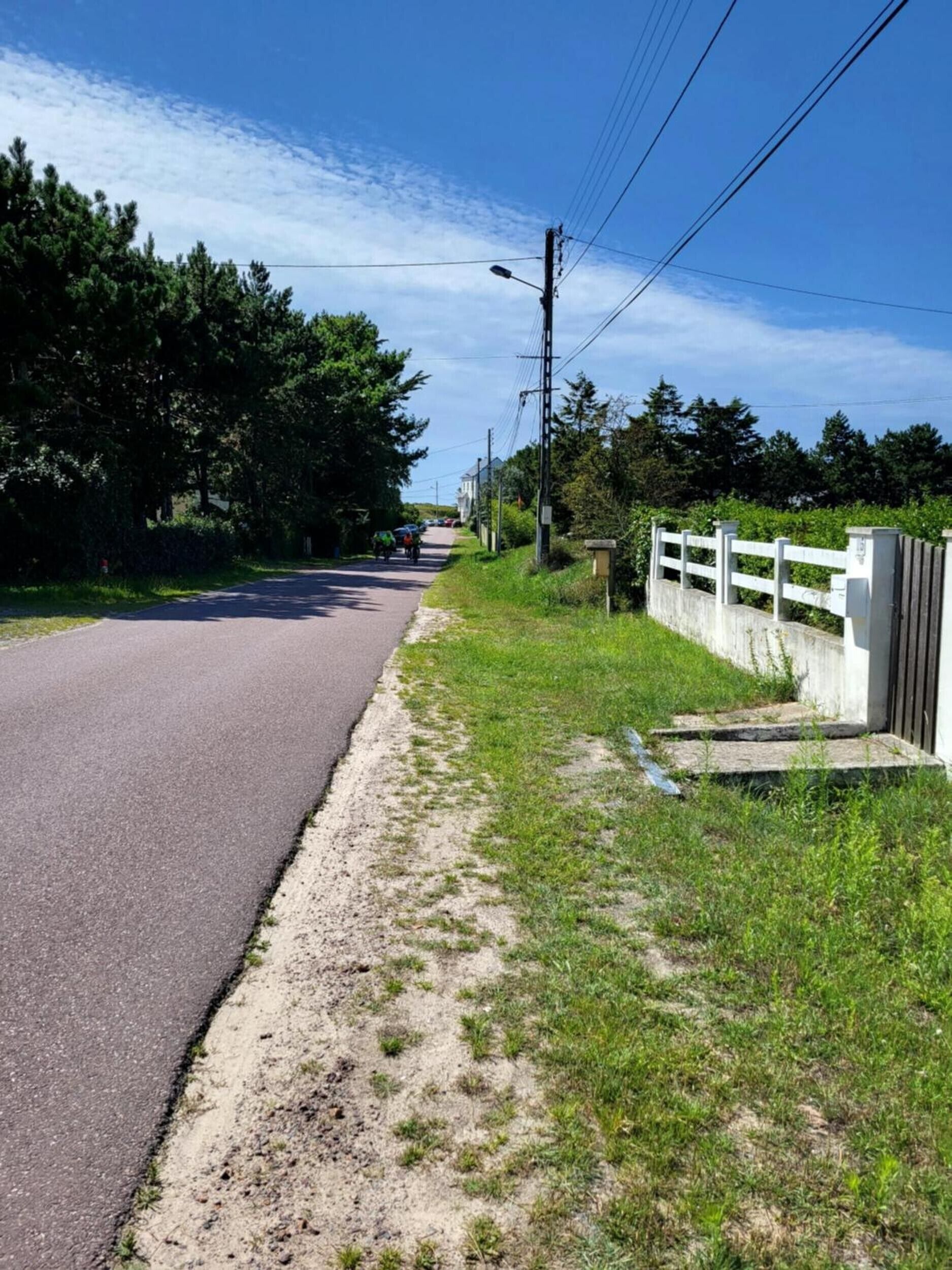 Eine ländliche Straße mit weißem Zaun, viel Grün und Strommasten.