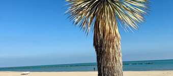 Charming Italian house with pool and Mediterranean garden