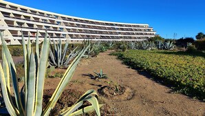 A modern building with a unique geometric facade, surrounded by a landscaped garden with various plants and a clear blue sky. - Studio with AC, sea view - 2 guests (Le CAP D'AGDE)