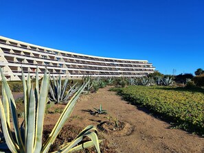 المنطقة المحيطة بالمنشأة