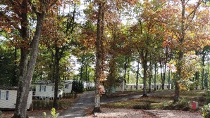A campground with mobile homes, a gravel path, and trees with autumn leaves.