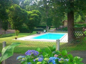 Une piscine rectangulaire entourée d’une clôture en treillis métallique, avec une pelouse et des arbres en arrière-plan.