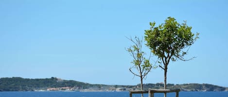 Terrain de lâhĂ©bergement