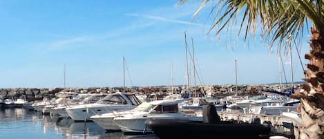 Marina