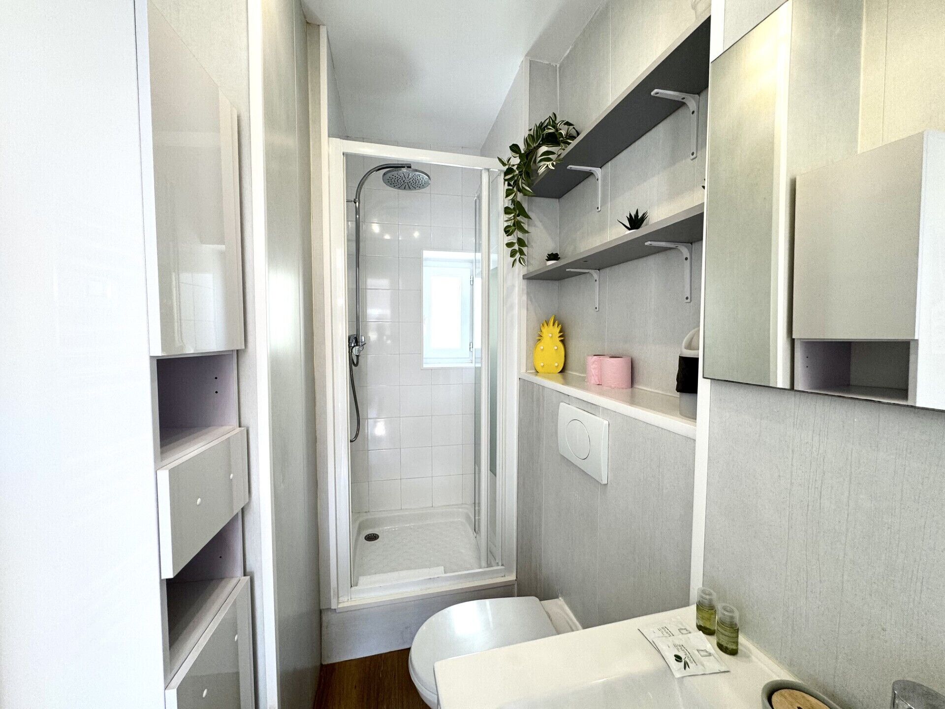 Shower, hair dryer, towels