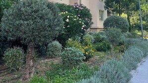 A multi-story residential building with balconies, surrounded by well-maintained gardens and trees. - Ststus M apartments 102 (Becici)