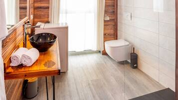 Shower, hair dryer, bidet, towels