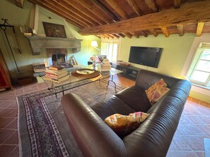 TV, fireplace - The Mulino apartment, at the Mulino Torrigiani (Capannori)