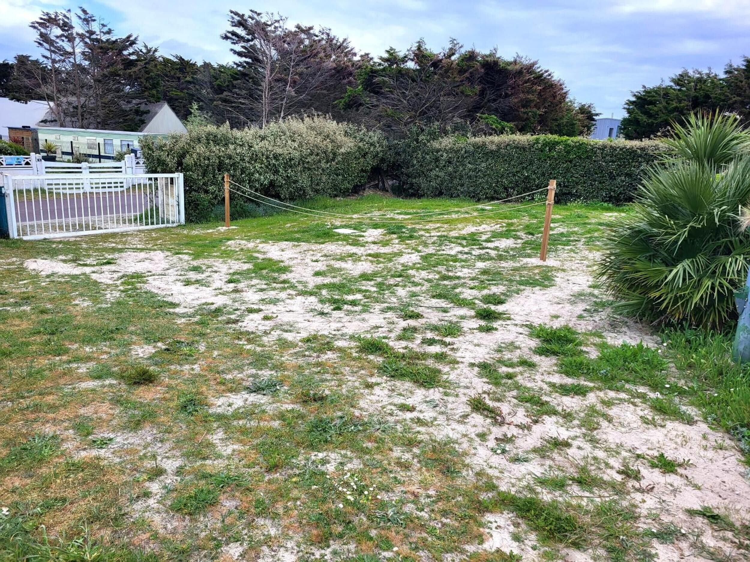 A sandy yard with sparse grass, a white fence, and a hedge.