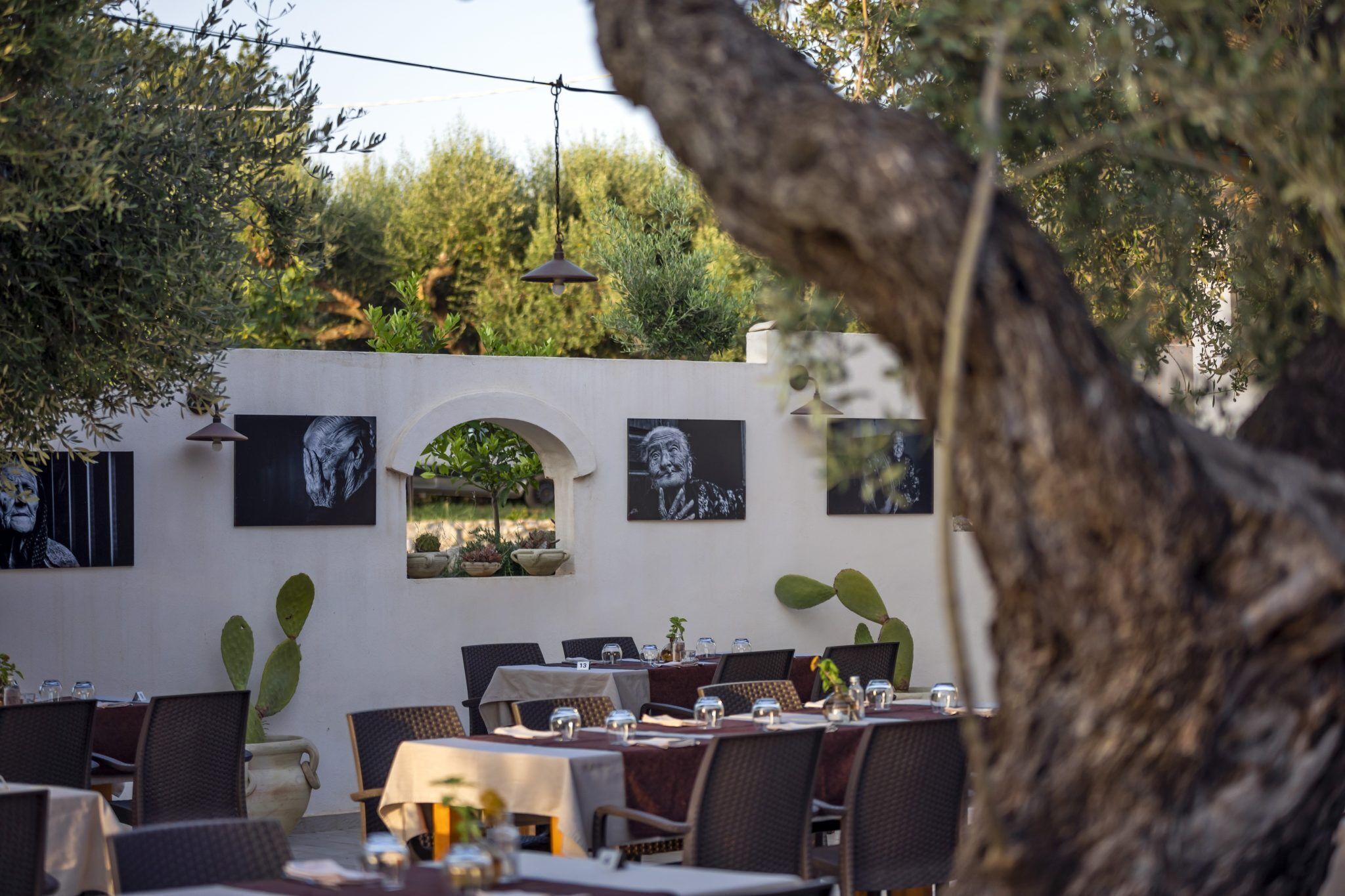 An outdoor dining area with tables, chairs, and potted plants.
