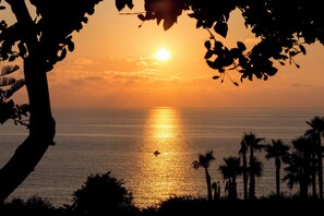 Miscellaneous - 3 Seater Apartment with Sea/Garden View Veranda (Ricadi - Capo Vaticano)