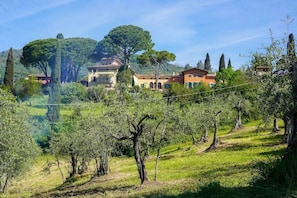 Property grounds - Tuscan Elegance: Pool, Private Terrace and Relax (Pieve A Nievole)