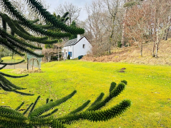 A white house with a green lawn and trees in the background.