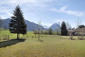 Un champ verdoyant avec un grand arbre à feuilles persistantes, un petit bâtiment et des montagnes lointaines.