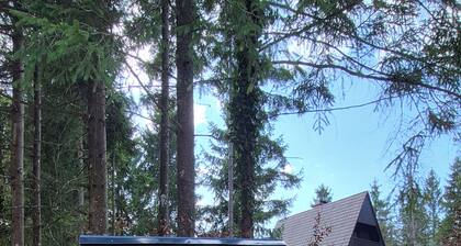 Serene 2-bedroom house in Ljubljana perfect for relaxing stay