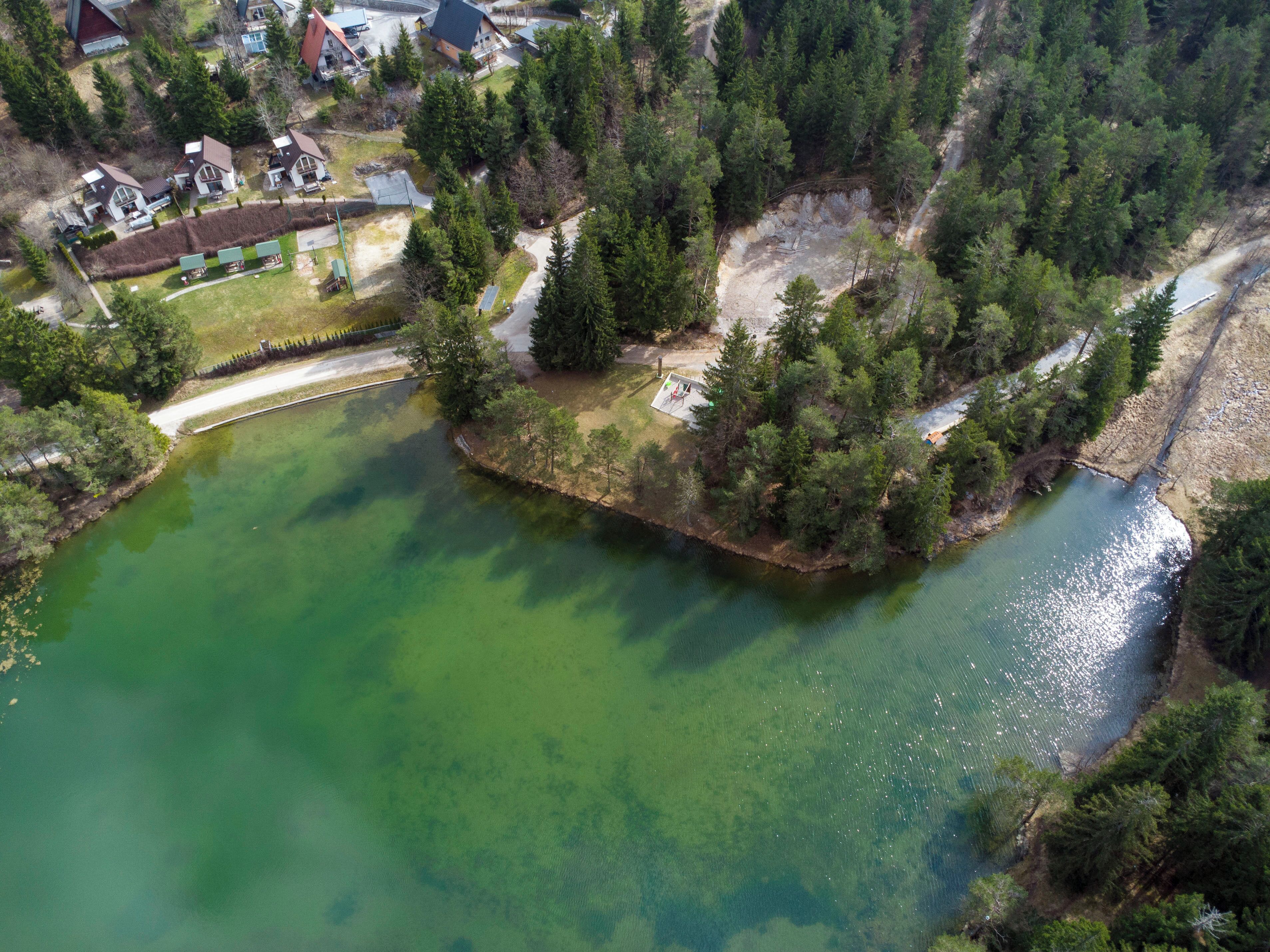Vue aérienne d’un quartier résidentiel avec des maisons, un lac verdoyant et une zone boisée.
