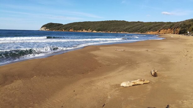 A beach with a clear sky, waves, and a forested hill in the background. - Casa Blu • Thermal Relax in the Center • Free Wi-Fi • 15 min. to the sea (Venturina Terme)