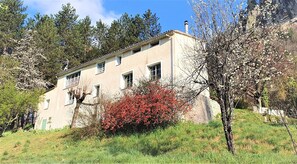 Exterior - In a quiet, green setting, pretty Provencal country house (Annot)