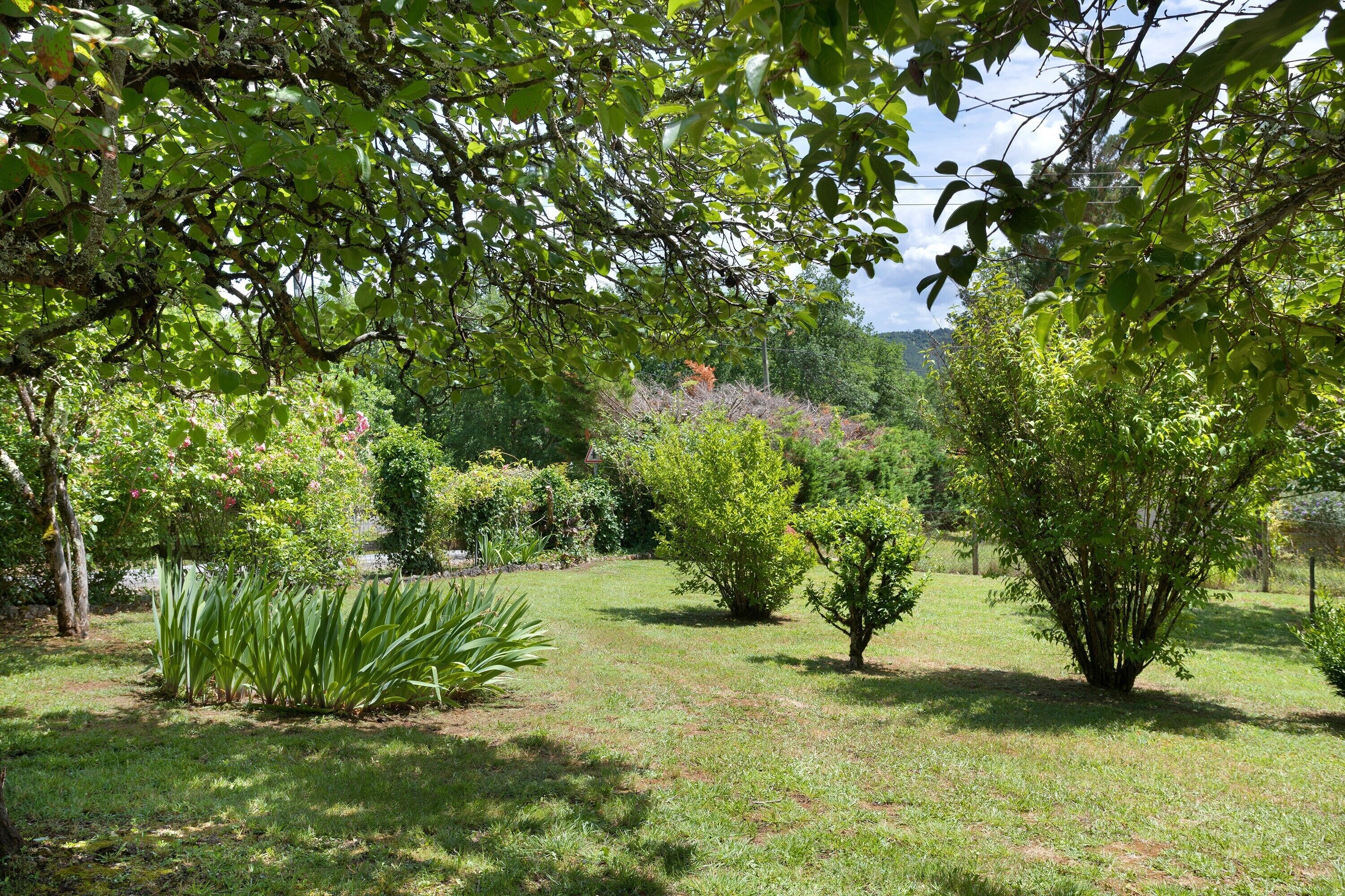 Un jardin avec différents arbres et arbustes, une pelouse verdoyante et un ciel dégagé.