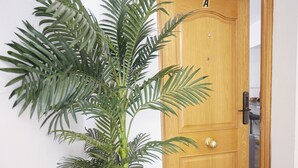 A potted palm plant next to a wooden door with a doormat. - Santa Rosa Madrid 101 by Escape Home (Madrid)