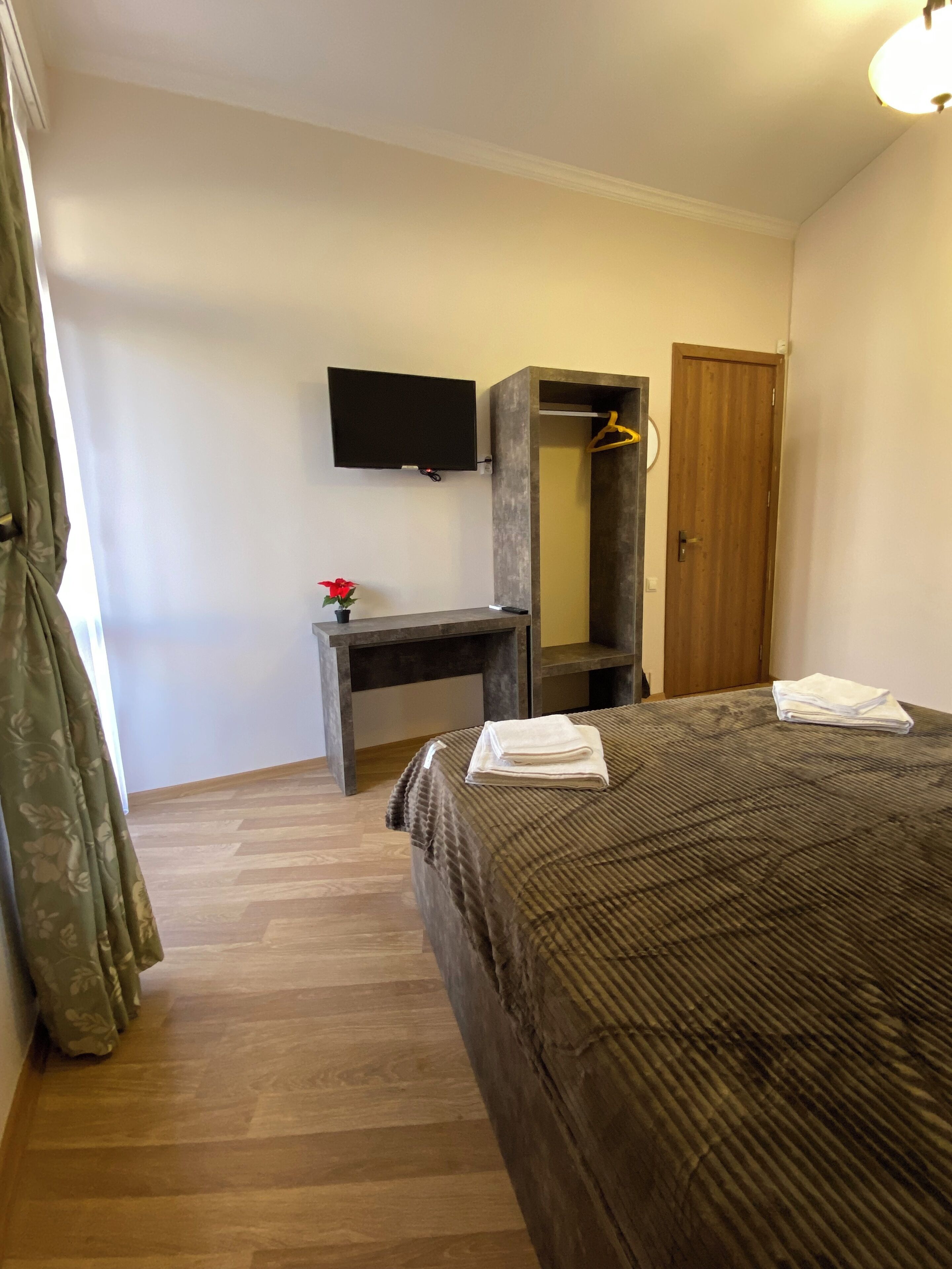 A hotel room with a bed, a desk, a TV, a wardrobe, and a potted plant.