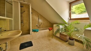 Shower, hair dryer