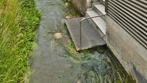 Un étroit canal d’eau, surmonté d’une grille métallique et bordé d’un escalier menant à l’eau.