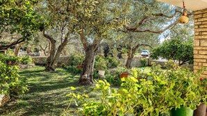 Un jardín con árboles, plantas en macetas y un muro de piedra.