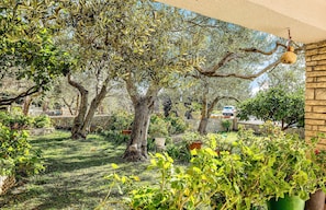 A garden with trees, potted plants, and a stone wall. - 4-in-1 Panoramic Floor | 4 Private Apartments | Sea View | Family/Group Stay (Šibenik)