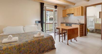 Comfort Studio with Mountain View, Shared Terrace and Wi-Fi