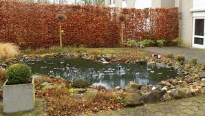 Ein Teich mit Steinen und einer Hecke in einem Innenhof.