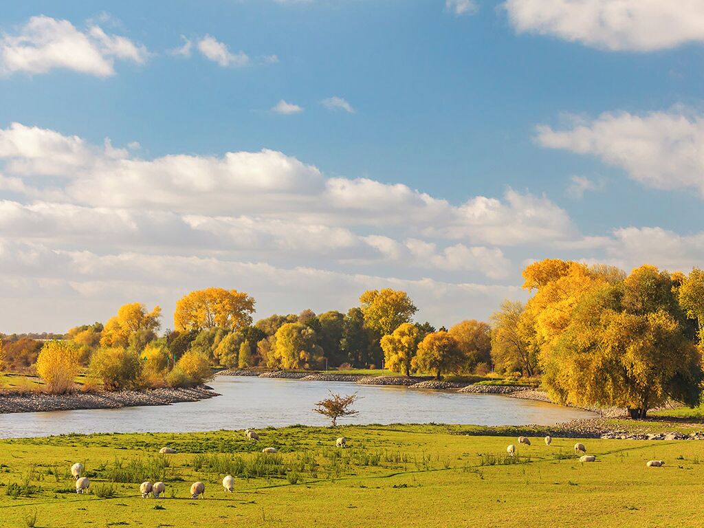Ein Fluss durch eine Wiese mit Bäumen und Schafen.