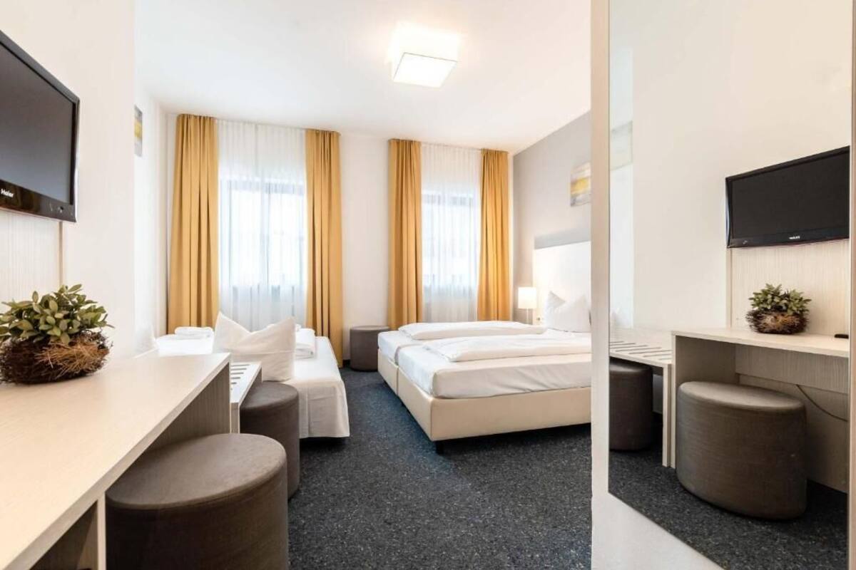 A hotel room with a bed, a desk, a chair, a TV, and a small plant.