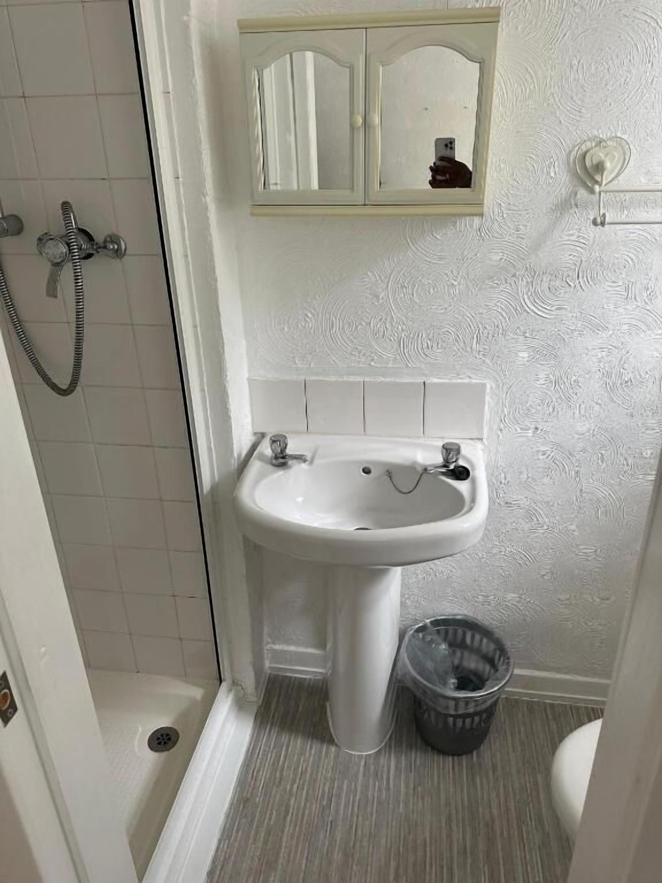 A bathroom with a shower, a sink, a mirror, and a trash bin.