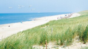 A beach with sand, grass, and the sea. - Family-Friendly Getaway | Near Scenic Dunes, Nature Sites, and Outdoor Trails (Bergen)