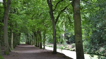 A tree-lined path with a river on one side.