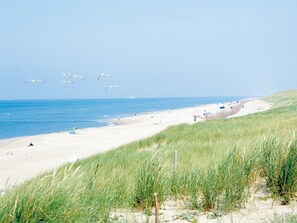 A beach with sand, grass, and the sea. - Enchanting Bergen Oasis |Steps from Dunes, Nature Walks, and Local Hotspots (Bergen)