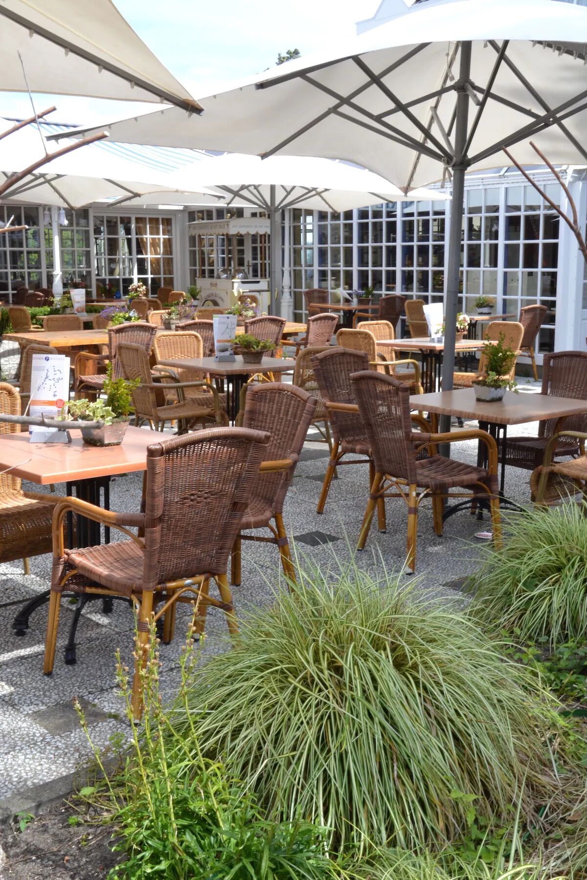 Een terras met rieten tafels en stoelen, overdekt met grote parasols en omringd door potplanten.