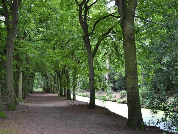 Un sentier bordé d’arbres, avec une rivière d’un côté.
