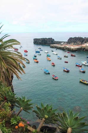 A coastal scene with numerous small boats anchored near a rocky breakwater. - Studio apartment | Prime location (Câmara de Lobos)