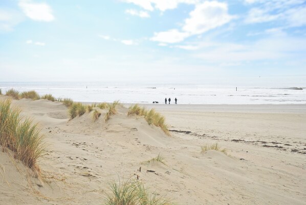 A sandy beach with dunes and a clear sky.