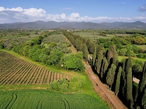 Aerial view - Casale Bolgherese by Interhome (Bolgheri)