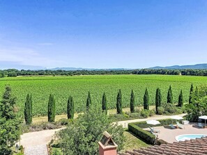 Un vignoble avec des rangées de vignes, une piscine et un espace extérieur aménagé avec des chaises longues et des parasols.