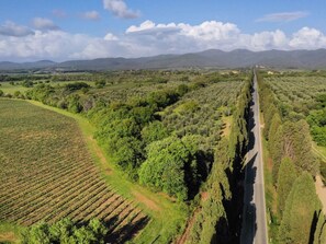Aerial view - Casale Bolgherese by Interhome (Bolgheri)