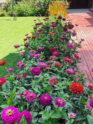 Garden - Lakshmi Guest House (Srinagar)