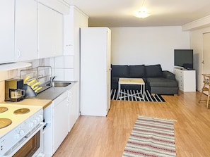 Un espacio habitable pequeño con kitchenette, un sofá, un televisor y una alfombra estampada.