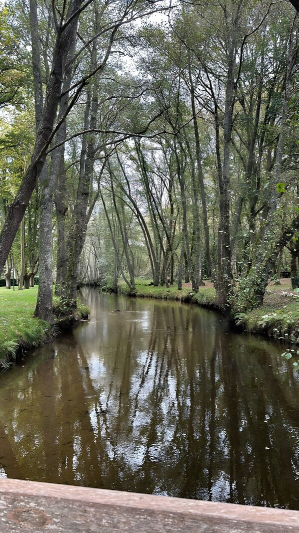 Miscellaneous - Apartment 'Familia Froufe 2' (BaƱos de Molgas)