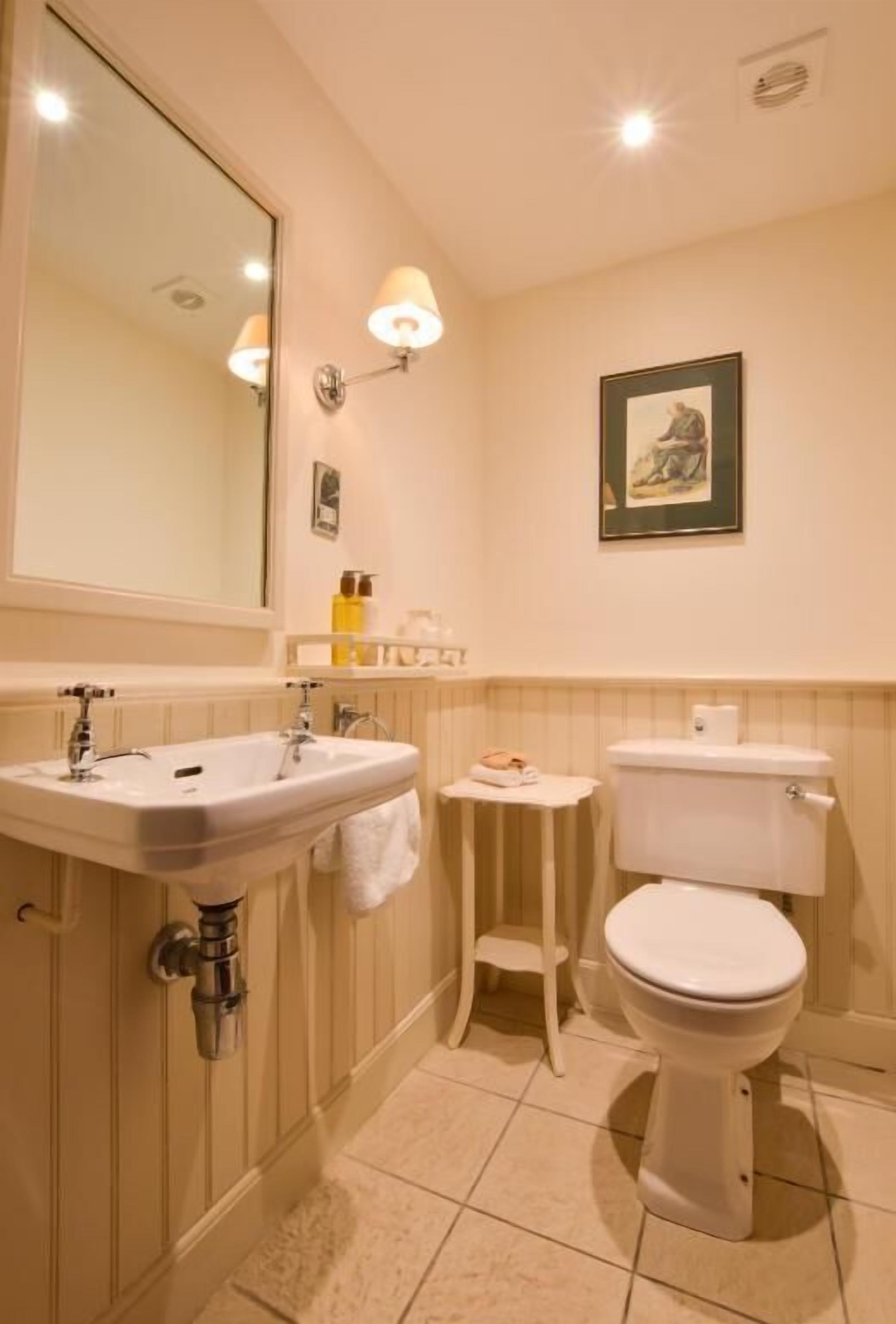 A bathroom with a sink, toilet, and a mirror.