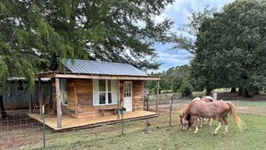 A wooden cabin with a porch, a fenced area, and a horse grazing nearby.