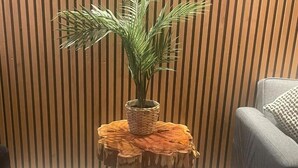 Ein kleiner Holztisch mit gewebter Unterlage, ein Blumentopf und eine graue Couch im Hintergrund.